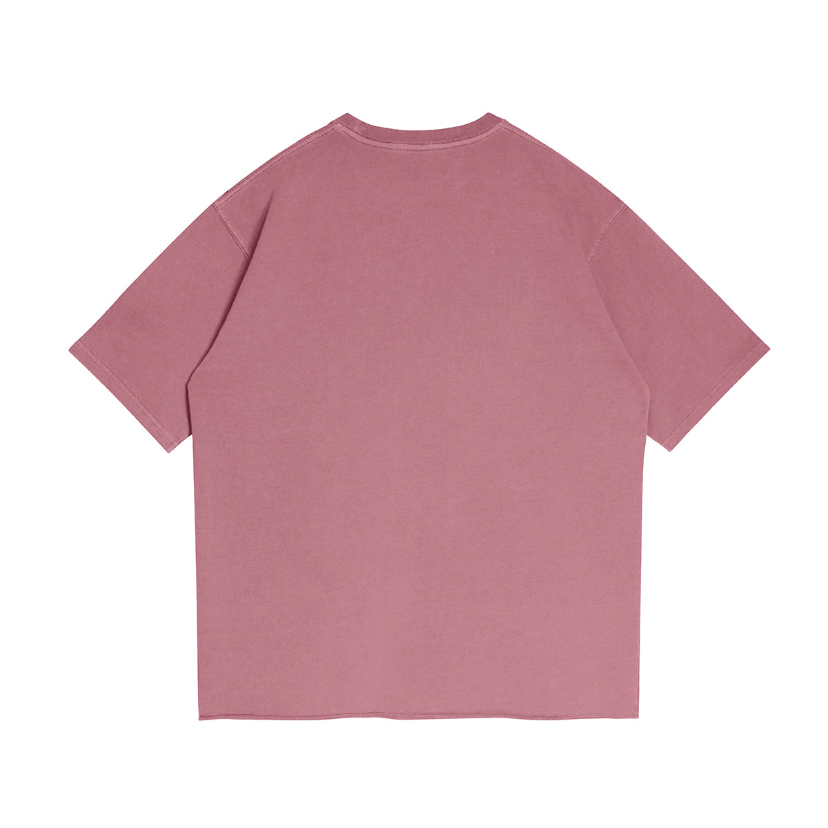BASICS 260GSM UNISEX Faded Raw Hem Tee