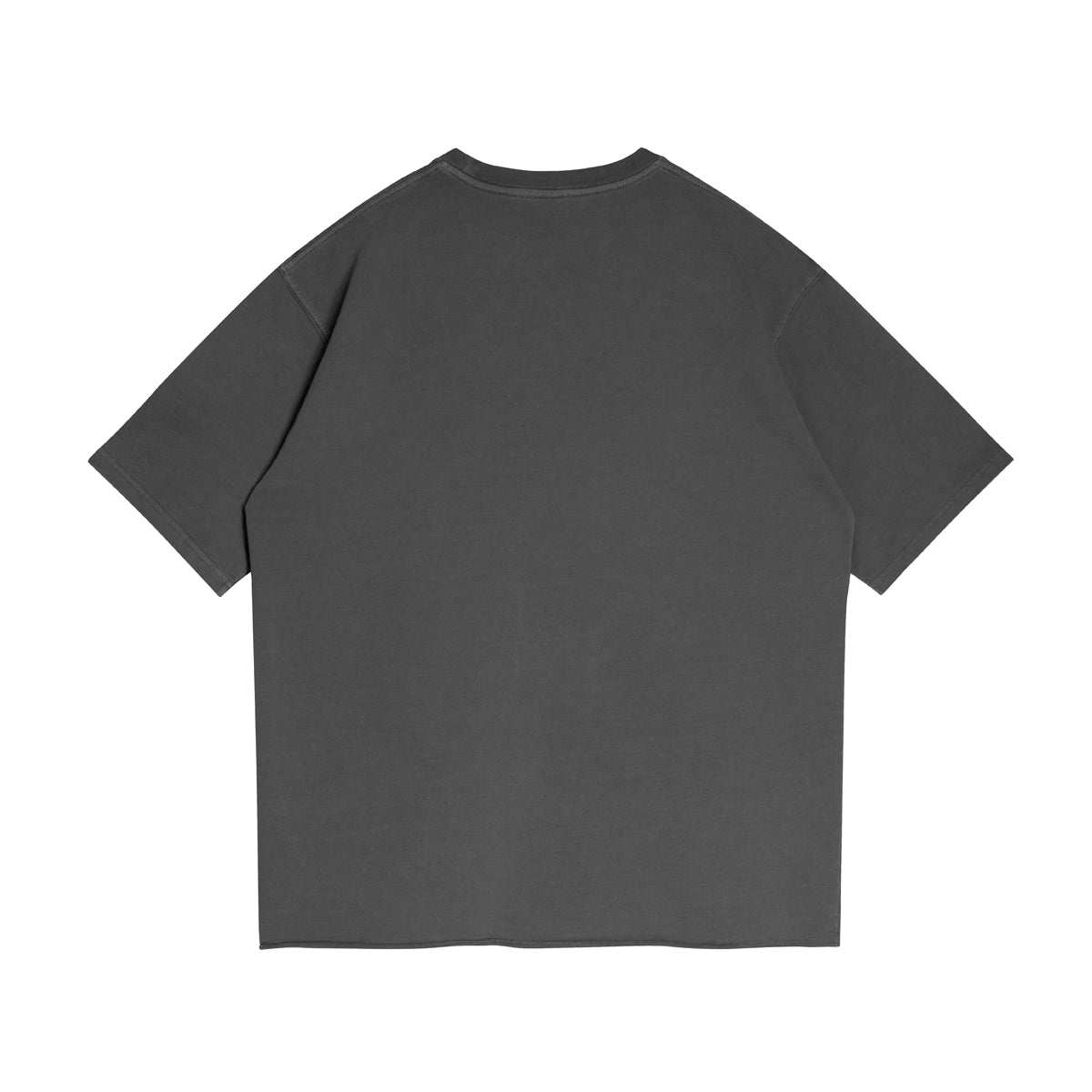 BASICS 260GSM UNISEX Faded Raw Hem Tee